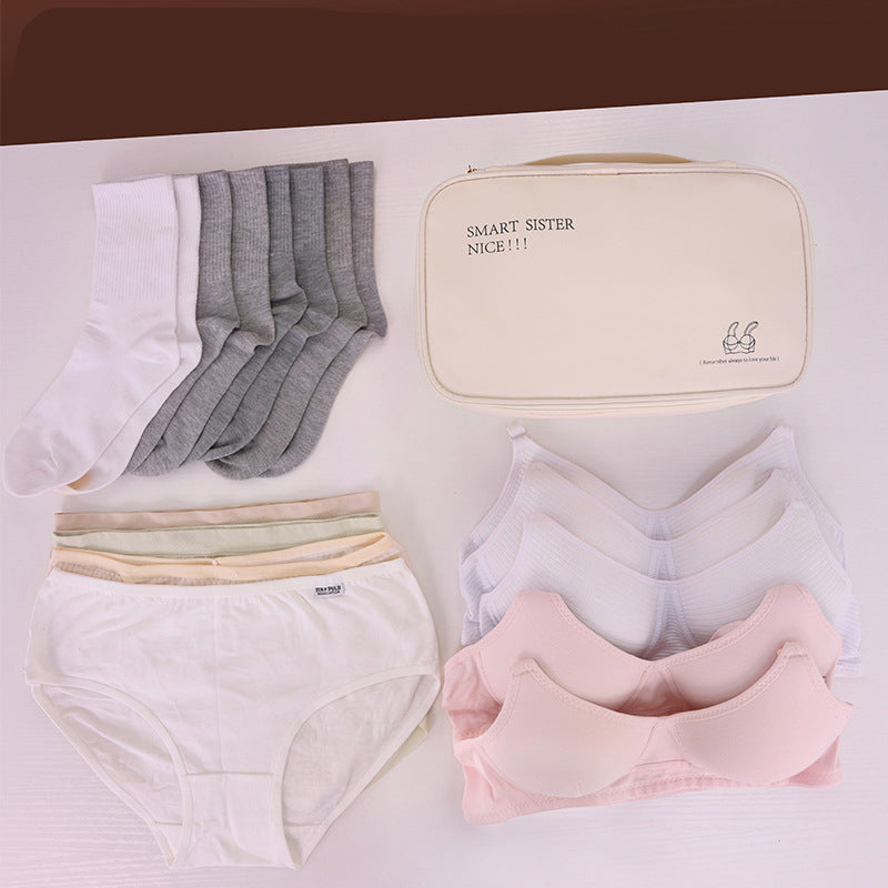 Lingerie Travel Cube