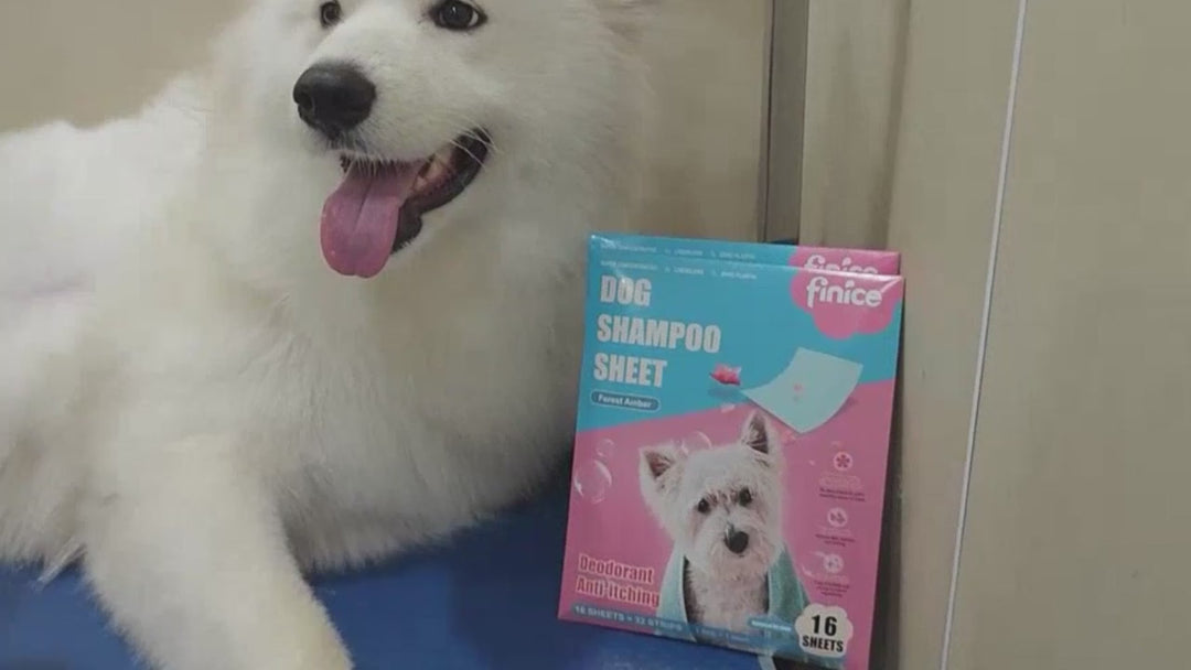 Pet Shampoo Sheet